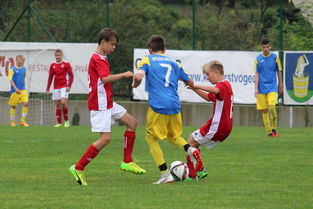 开云电竞在线-基层足球能否成为未来的希望，足球基层教练现状  第2张