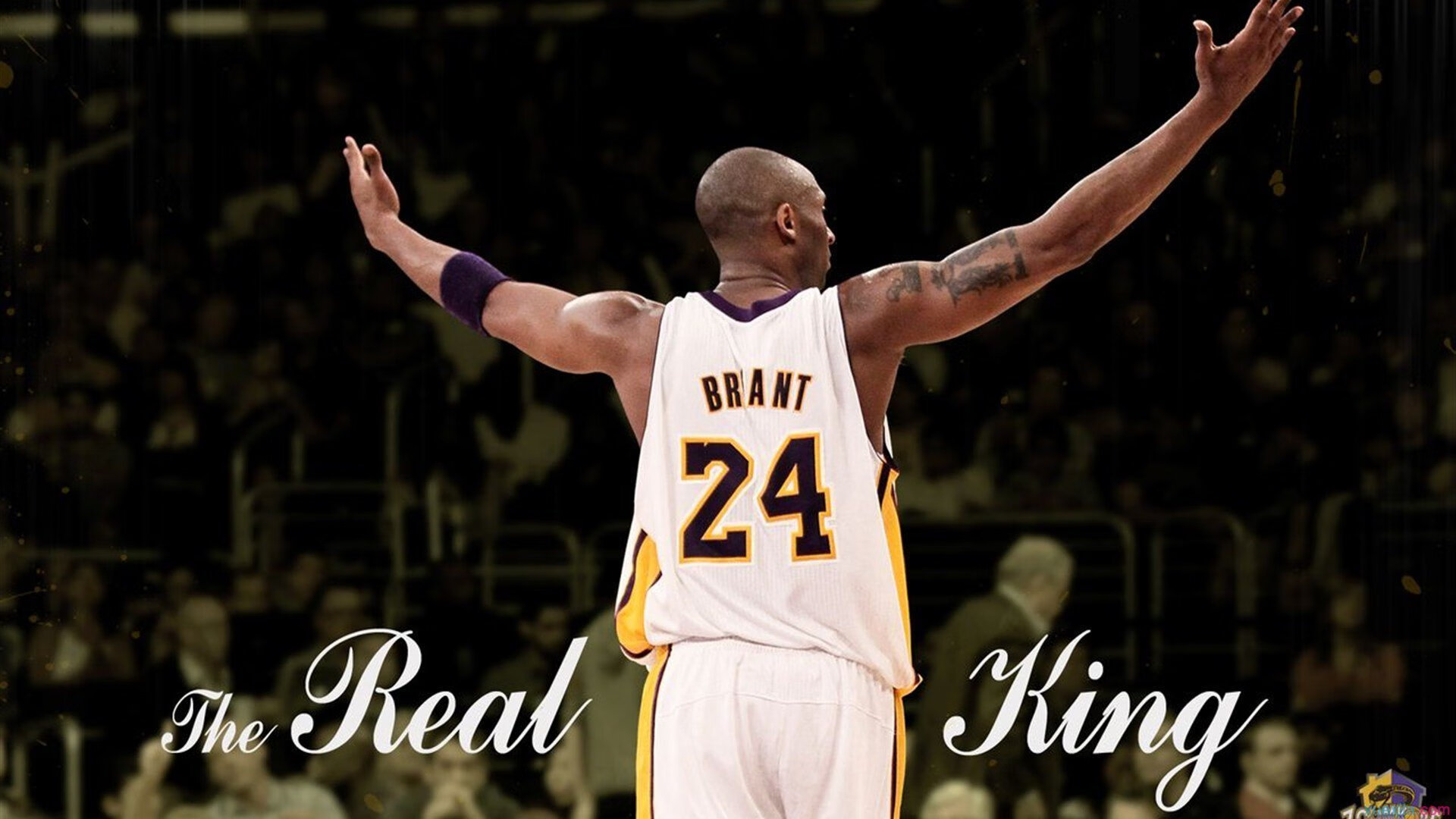 开云体育中国官网-技术转型显效，自选动作完成度上升，技术动作完成目标  第2张